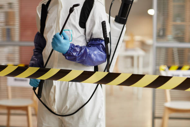 Professional Sewage Cleanup technician working in Irving, TX